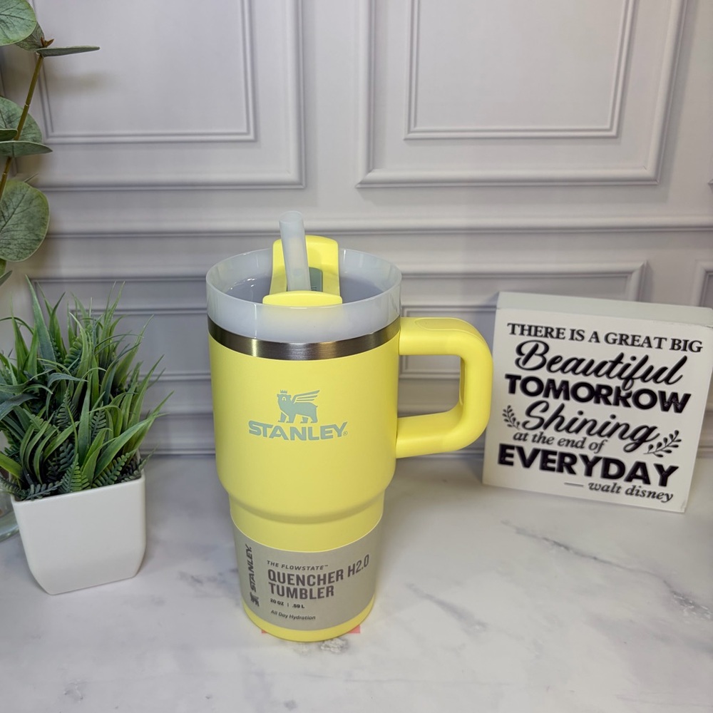 Stanley Pomelo 20oz Tumbler BNWT